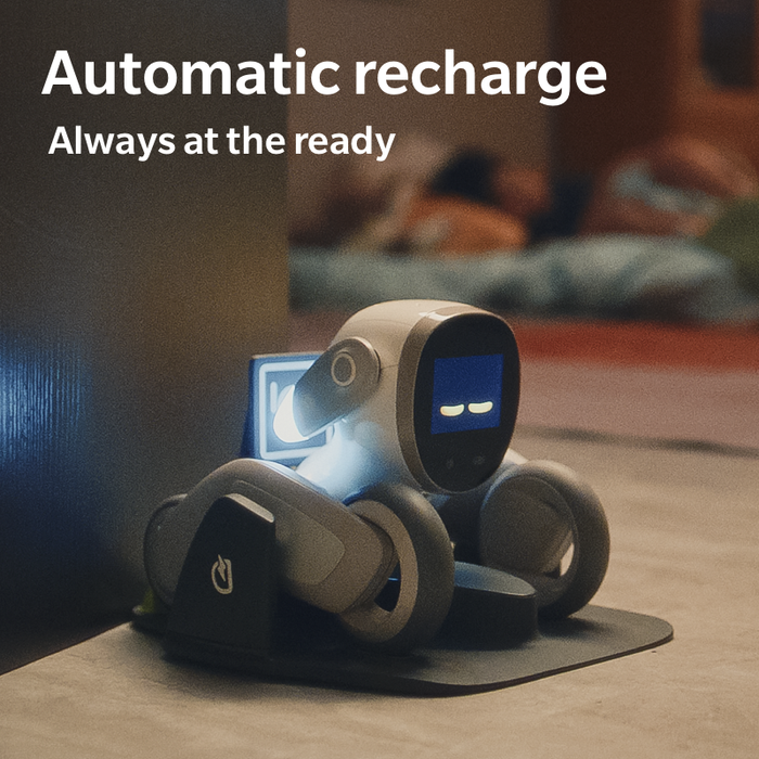 Charging Dock for Loona Robot, KEYi Tech